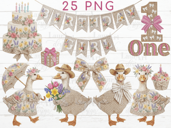 Birthday Goose Embroidery 1st First Bday Review